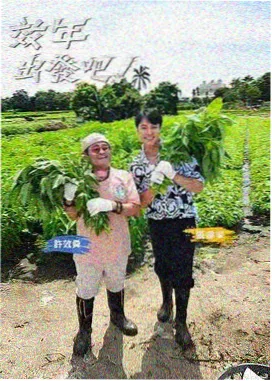 综艺周末厨房节目海报